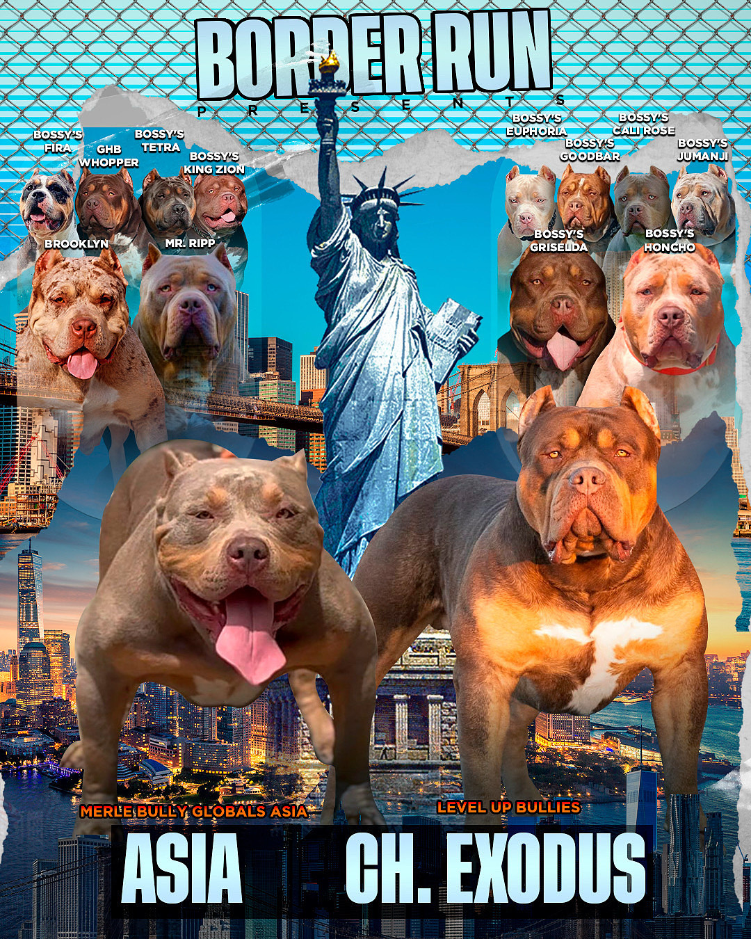 Asia x Exodus Border Run Breeding Banner XL American Bully